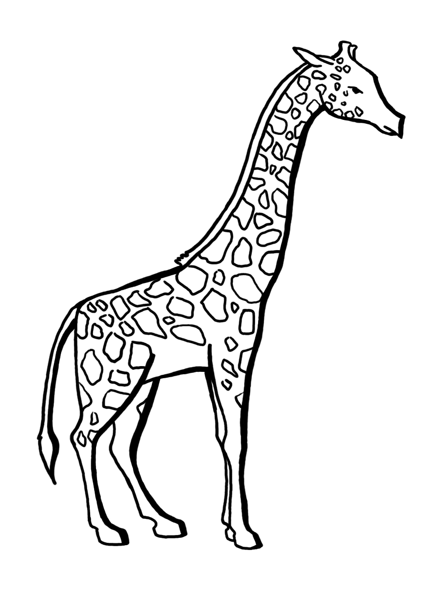 zirafa_MK.jpg