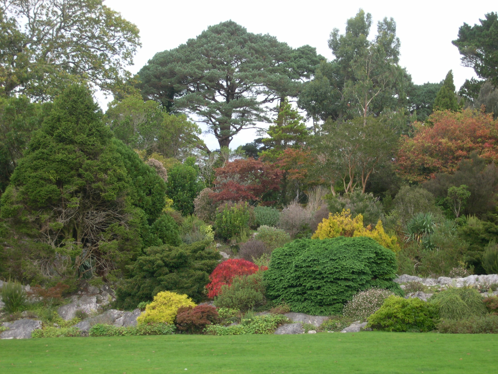 195-national-park-killarney-irsko.jpg