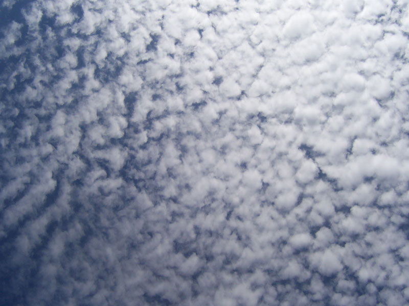 Altocumulus.jpg