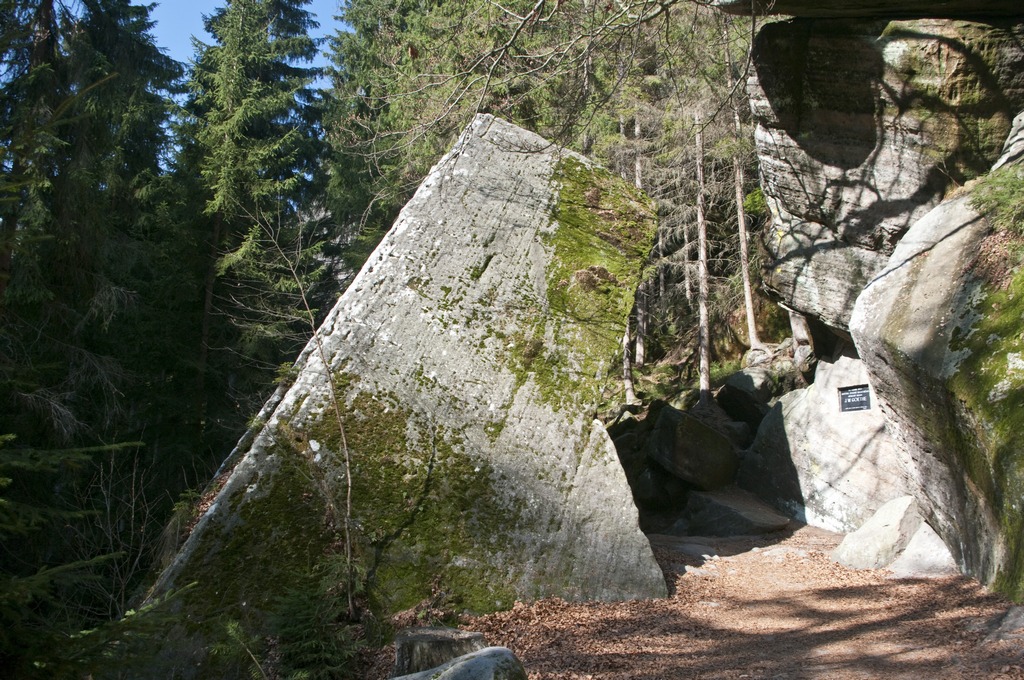 _IMG5582a.jpg