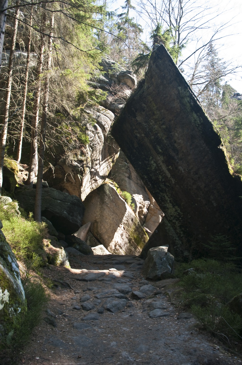 _IMG5585.jpg