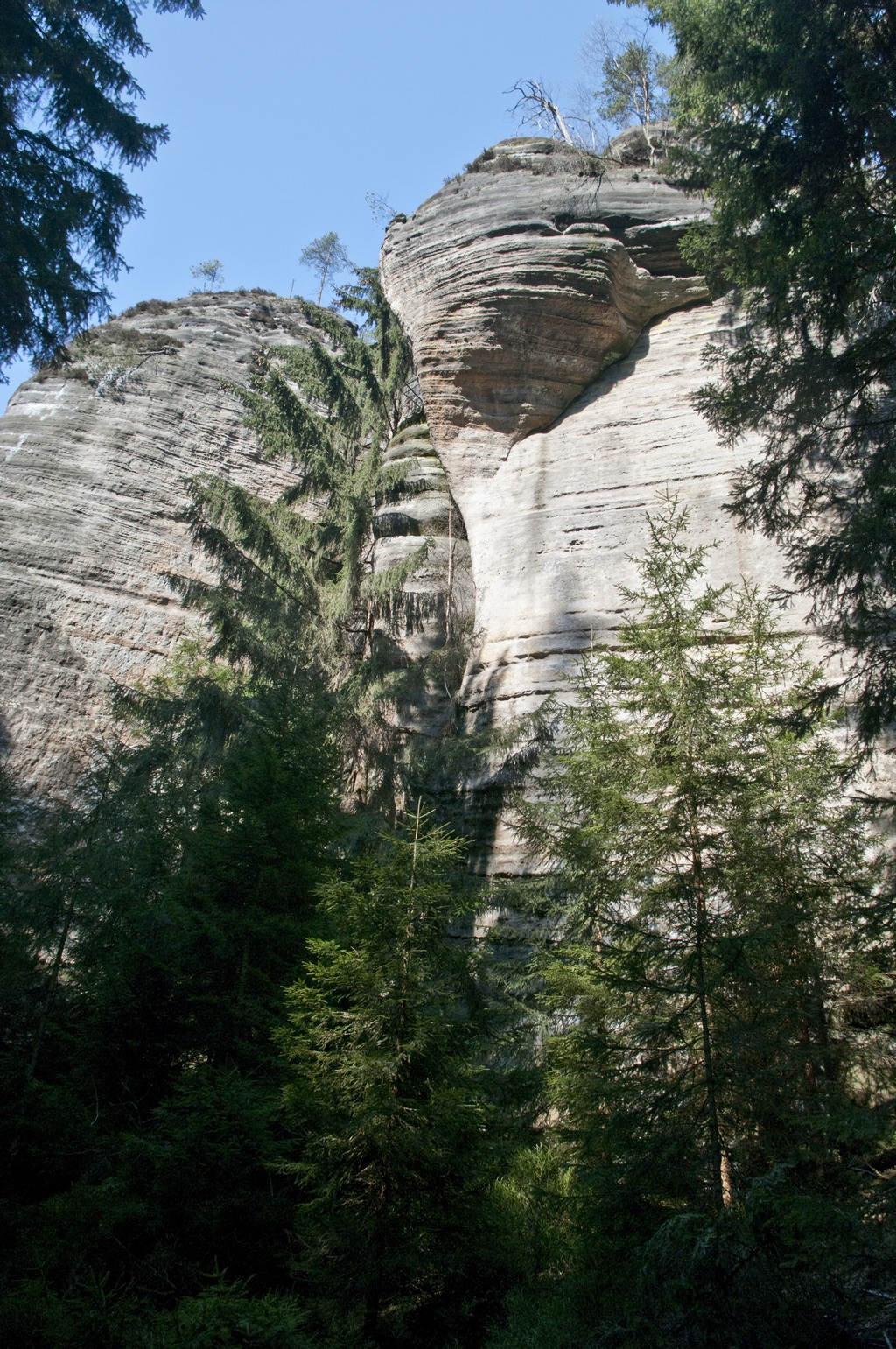 _IMG5586a.jpg