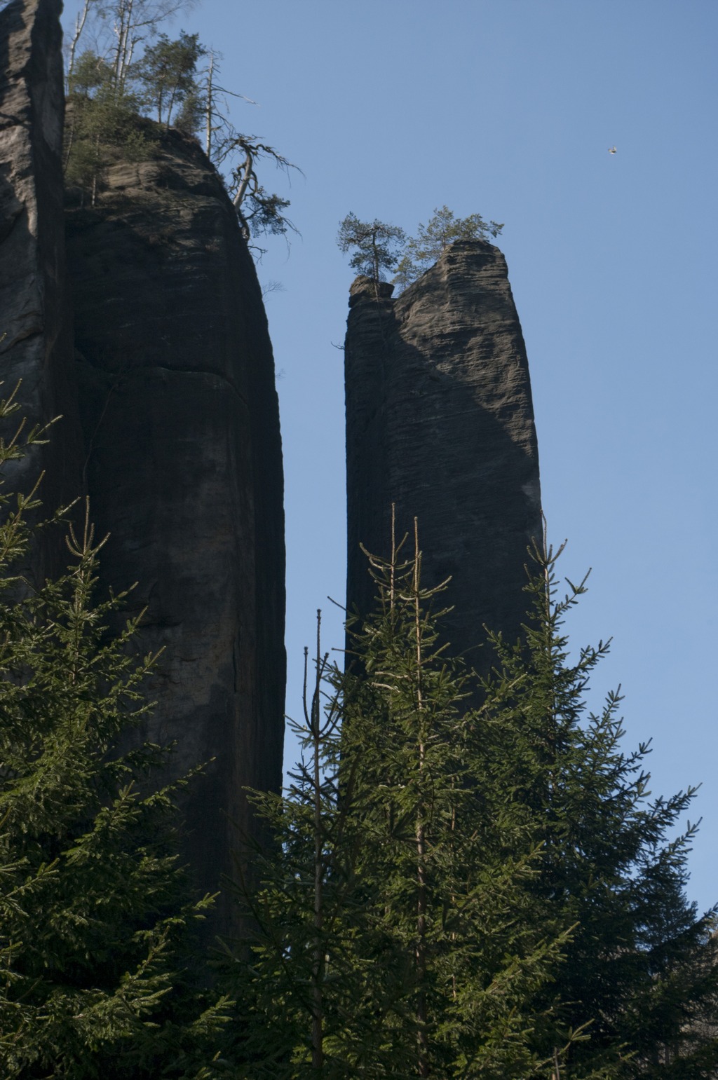 _IMG5592a.jpg