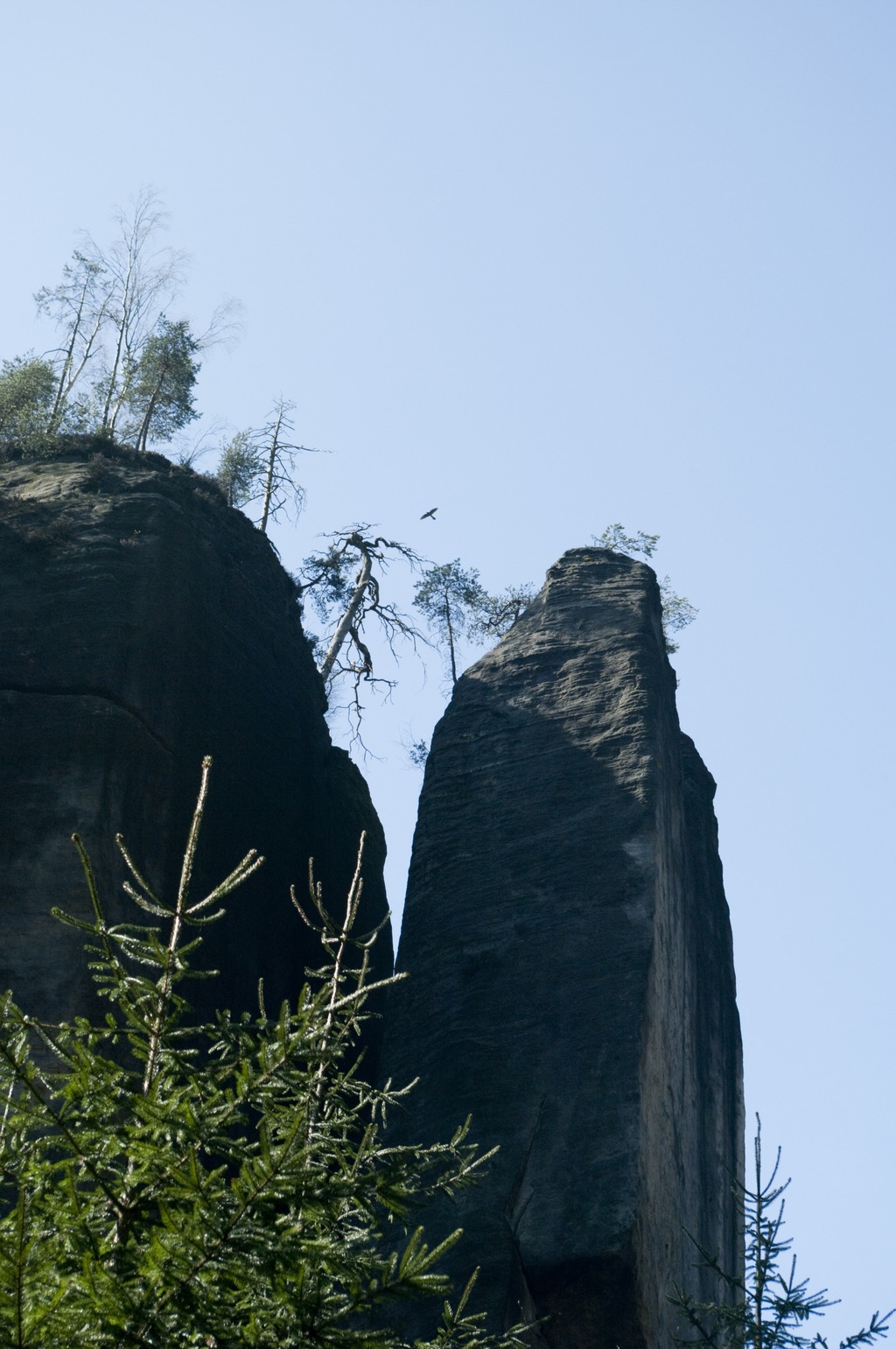 _IMG5594a.jpg