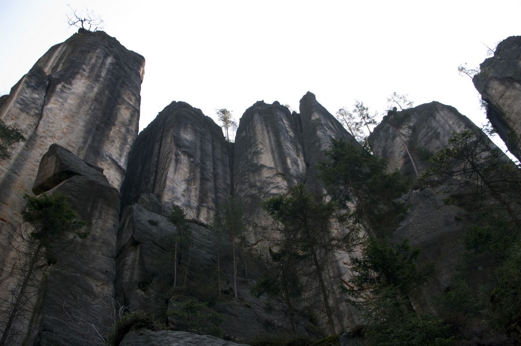 _IMG5595a.jpg