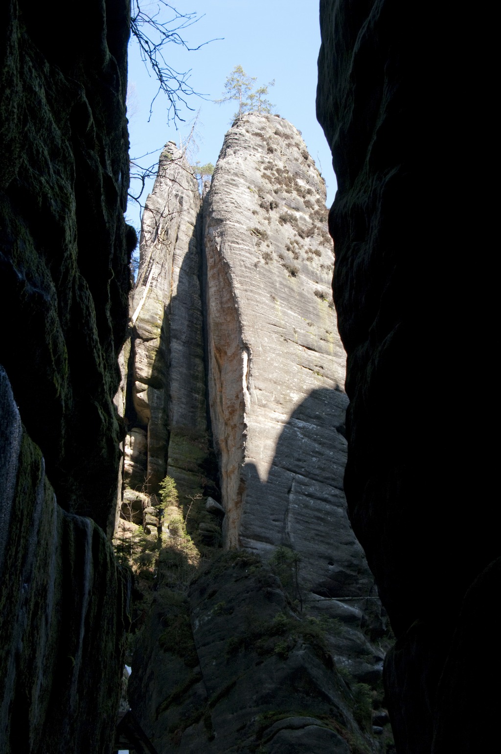 _IMG5598.jpg