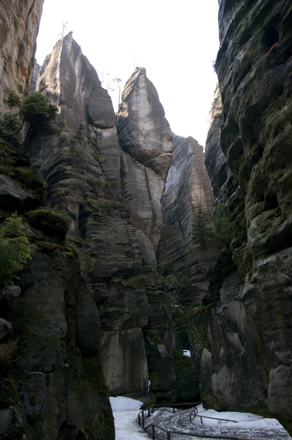 _IMG5599.jpg