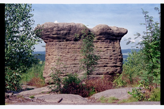 IMG003a.jpg