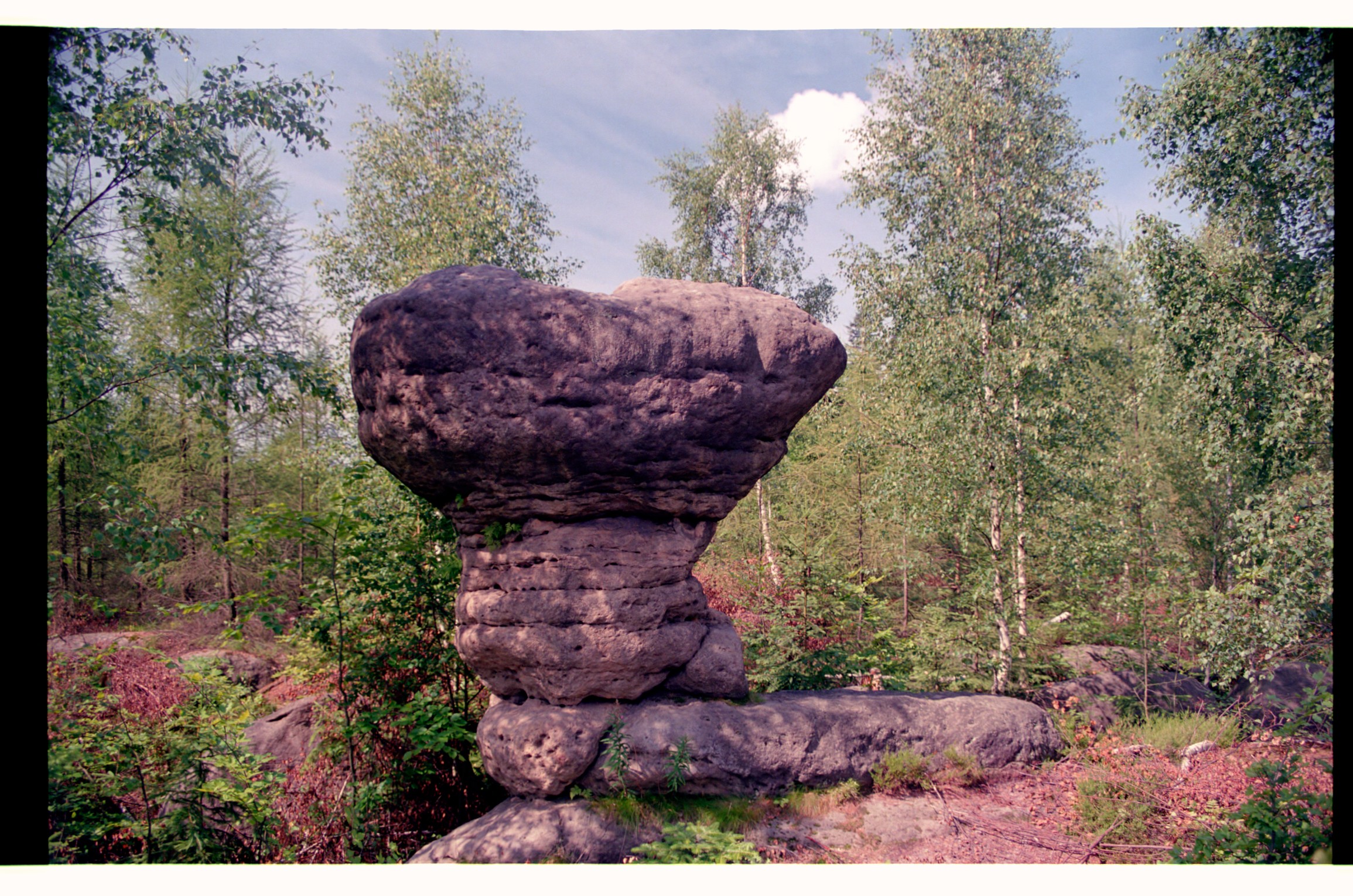 IMG009.jpg