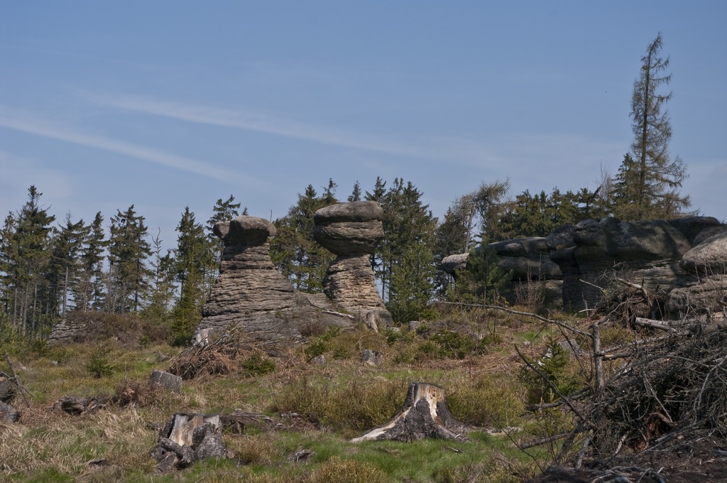 _IMG5525.jpg