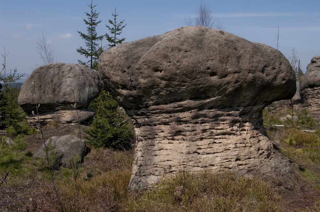 _IMG5527.jpg