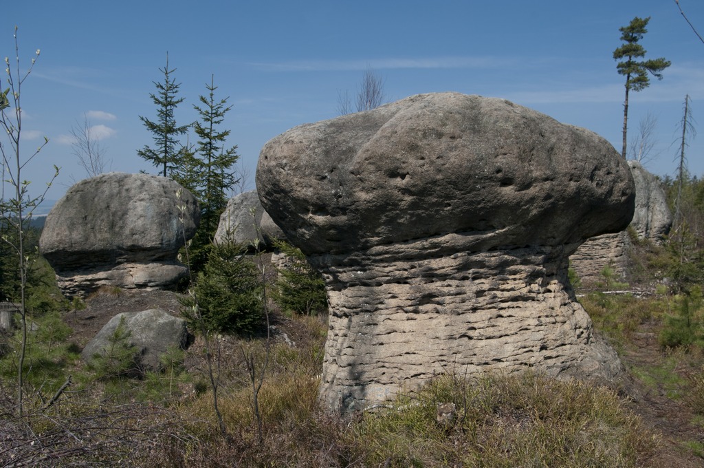 _IMG5538.jpg