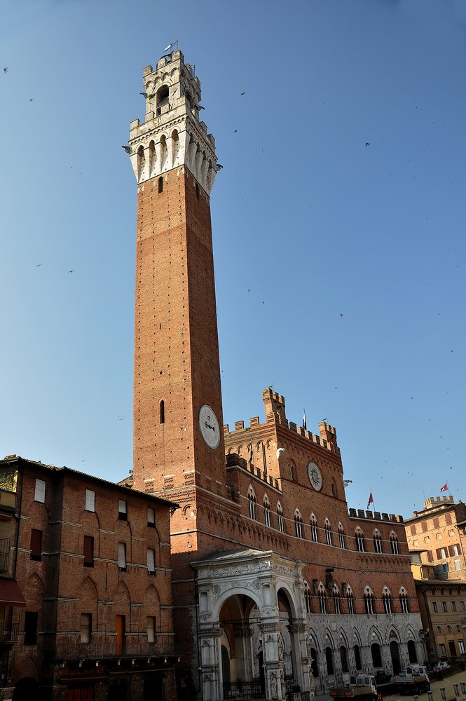 siena2.jpg