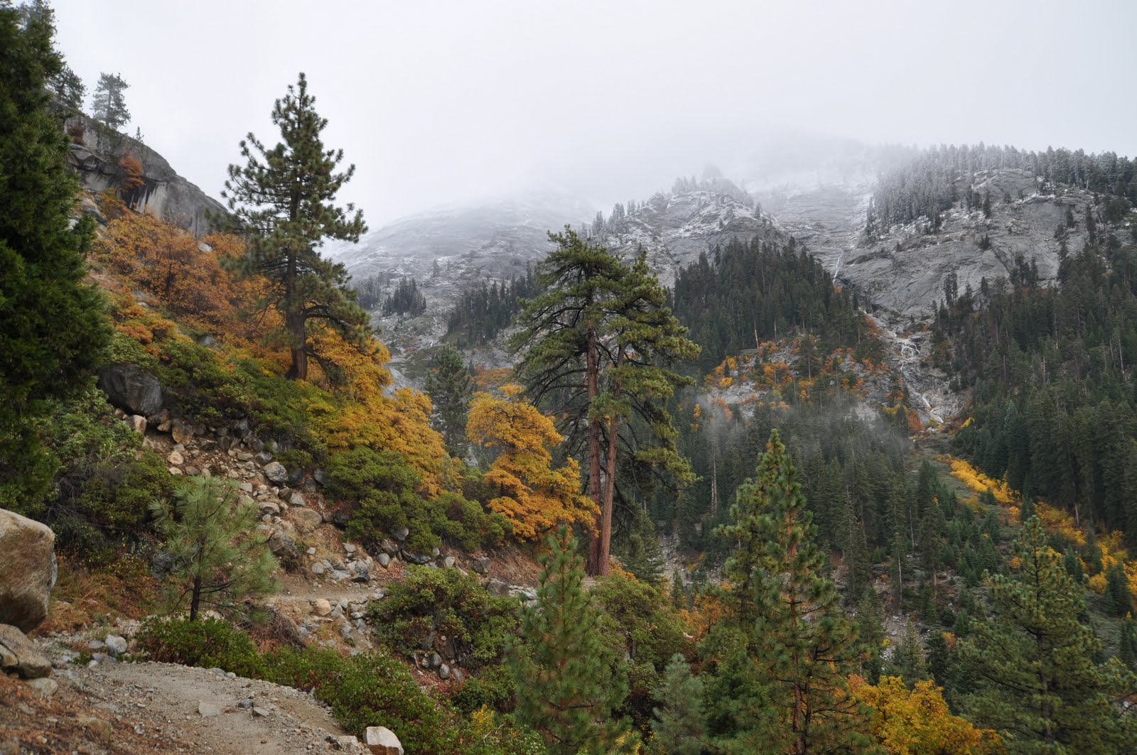 kSequoia-101106-171743.jpg