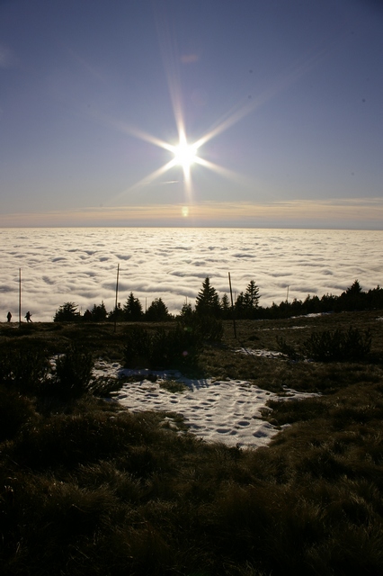 _IGP0095a.jpg