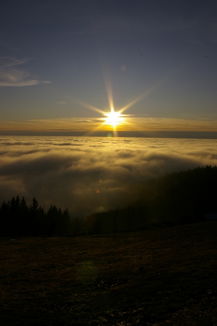 _IGP0118a.jpg