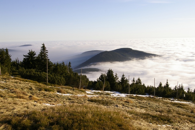 _IGP0108a.jpg