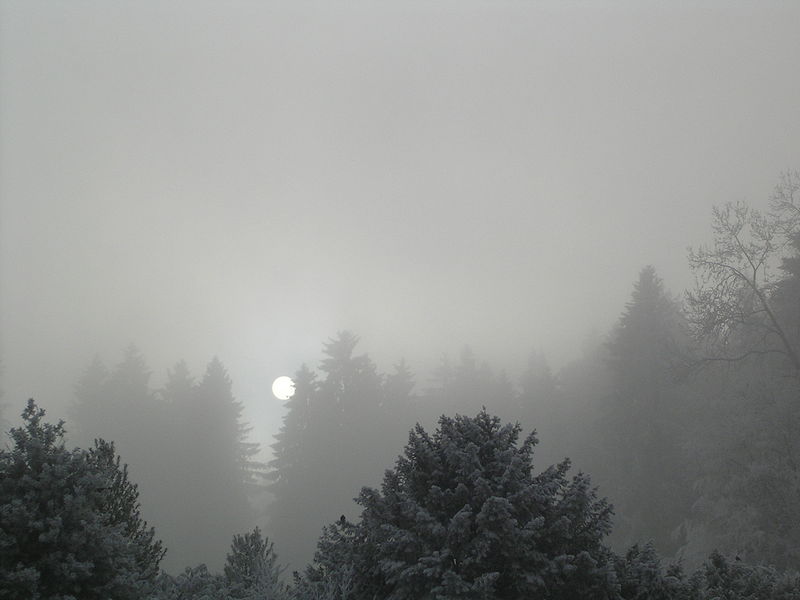 Stratus.jpg