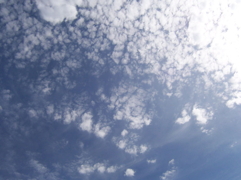 Cirrocumulus.jpg